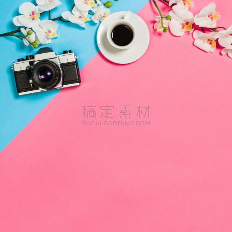 办公室,书桌,女人,创造力,平铺,排列整齐,兰花,留白,工作场所,无人