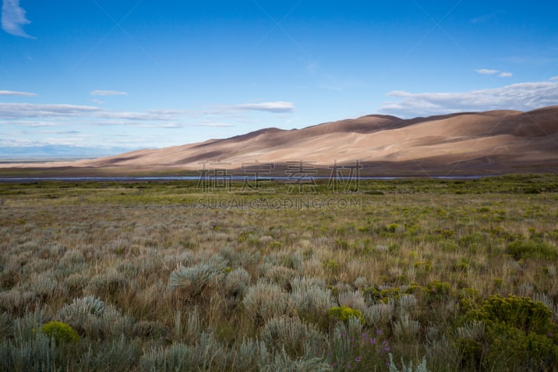 alamosa county,水平画幅,山,沙子,旅行者,夏天,户外,草,沙丘,科罗拉多州