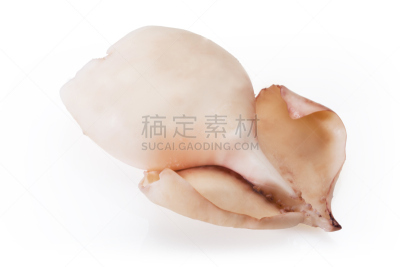 清新,鱿鱼,自然,住宅房间,水平画幅,生食,海产,图像,肉,白色