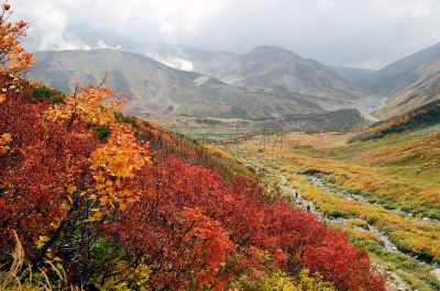 日本,秋天,富山,旅途,云景,黑部水库,山梨树,植物,2015年,白桦