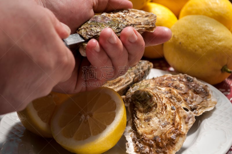 牡蛎,餐具,水平画幅,软体动物,开胃品,湿,海产,熟食店,特写,柠檬