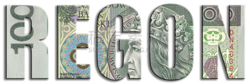 数字,波兰,身份,商务人士,波兰兹罗提,熔锅,100号,水平画幅,纹理效果,绘画插图