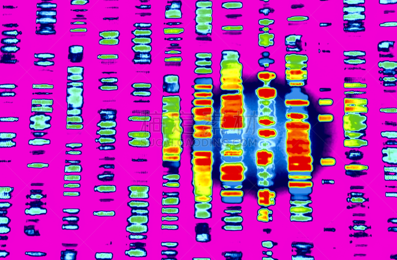 dna测序,顺序系列,艺术,水平画幅,微生物学,基因组学,科学,计算机制图,计算机图形学,生物学