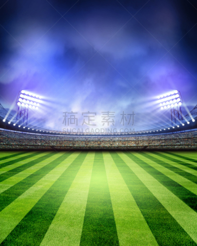 体育场,垂直画幅,球,橄榄球,休闲活动,能源,夜晚,灯,草,明亮