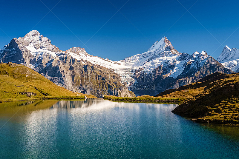 瑞士,徒步旅行,本尼斯阿尔卑斯山,格林德瓦,安静,山脊,草,户外,草地,山脉