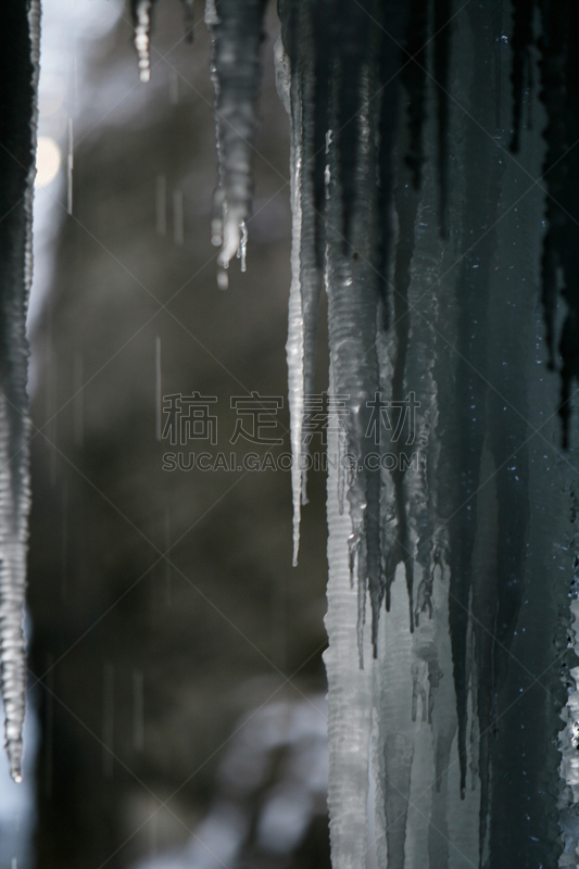 加米施帕腾基兴,巴伐利亚塑像,垂直画幅,雪,无人,早晨,户外,上巴伐利亚,非凡的,彩色图片