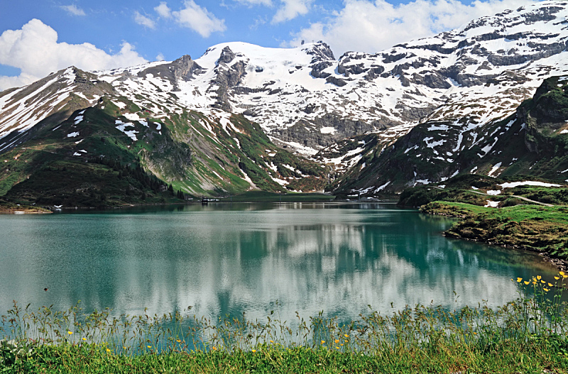 湖,水,水平画幅,雪,无人,夏天,户外,草,瑞士阿尔卑斯山,静水