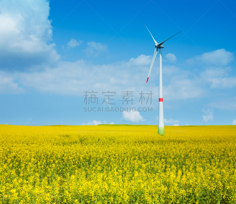 风力,涡轮,水平画幅,能源,无人,夏天,户外,草,田地,电