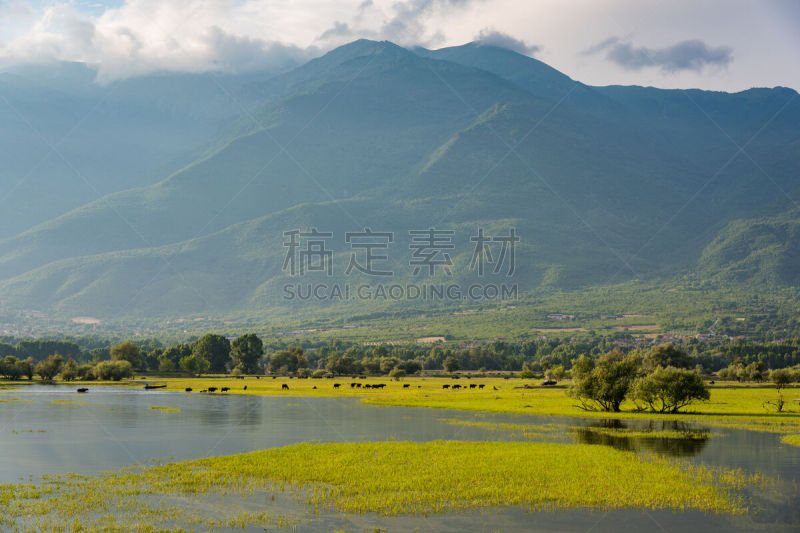 凯尔基尼,湖,希腊,塞雷,水,天空,水平画幅,无人,沼泽,户外