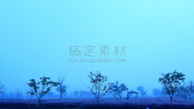 草,粉色,环境,公园,韩国,乱子草属,朝鲜半岛,植物,背景,户外