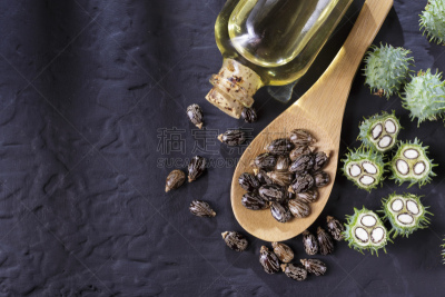豆,黑色,蓖麻油,桌子,生物学,农业,甘油三酸酯,健康保健,自然界的状态,药