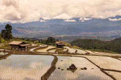 梯田,山,稻,广西壮族自治区,壮族,瑶族,元阳,龙胜,苗族,龙脊梯田