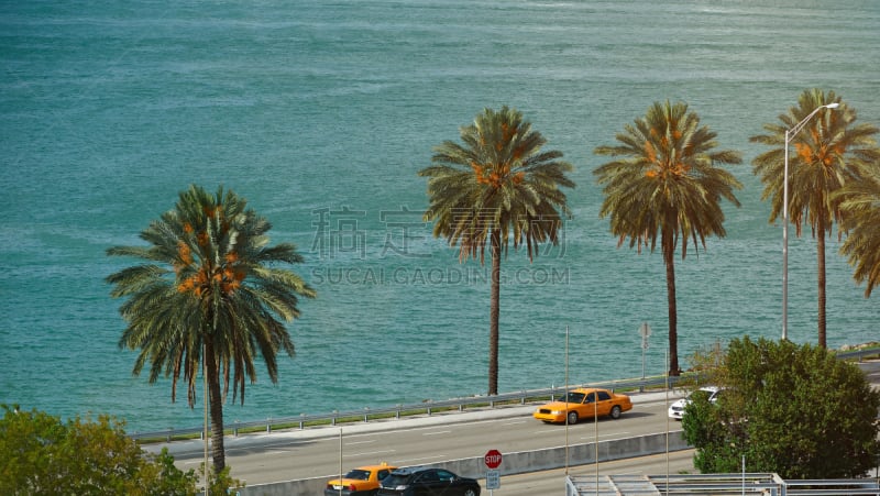 路,佛罗里达,海岸线,海外客运码头,远洋班轮,林荫大道,车钥匙,水,天空,度假胜地