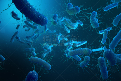 克雷白杆菌属,绘画插图,细菌,三维图形,大肠杆菌,沙门氏菌,接力赛,显微镜,梭菌