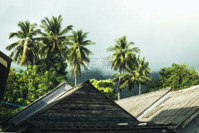 乡村,房屋,生活方式,屋顶,亚洲,天空,留白,暴风雨,夏天,棕榈树