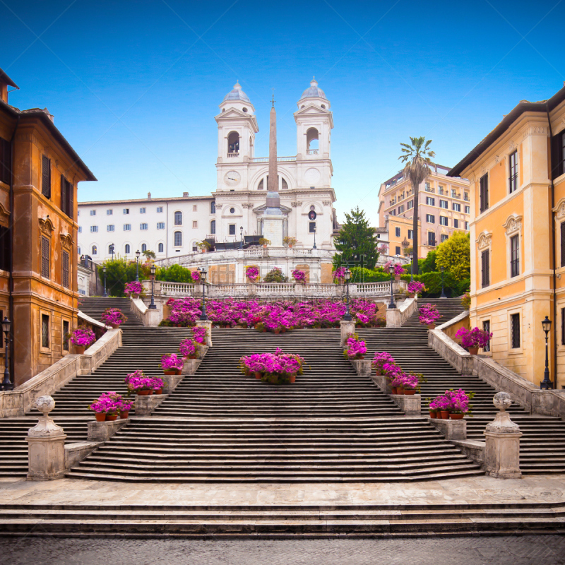 罗马,西班牙阶梯,杜鹃花,黎明,国际著名景点,piazza di spagna,广场,著名景点,喷泉