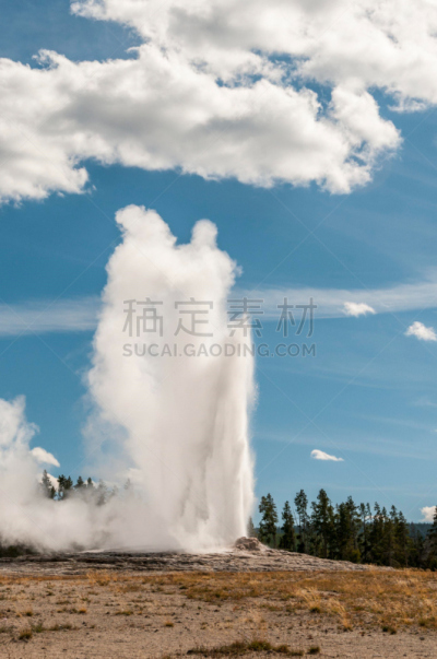 间歇泉,老忠实喷泉,名声,嗜极生物,黄石公园,火山喷口,垂直画幅,水,天空,美