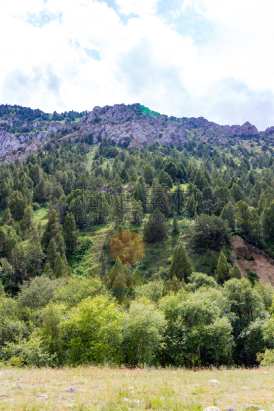 哈萨克斯坦,山,自然,自然美,洛克菲勒中心,垂直画幅,风景,风景线拱,图像,美容院
