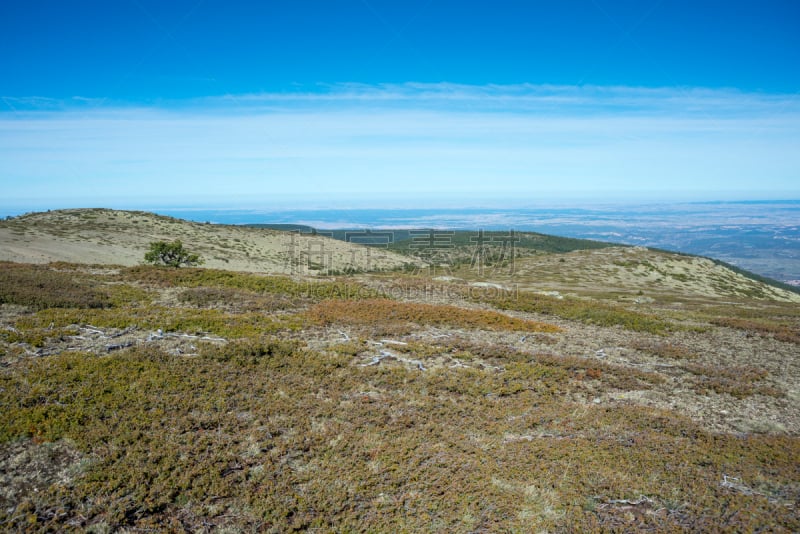 Alpine grasslands of Fescue and Padded brushwood