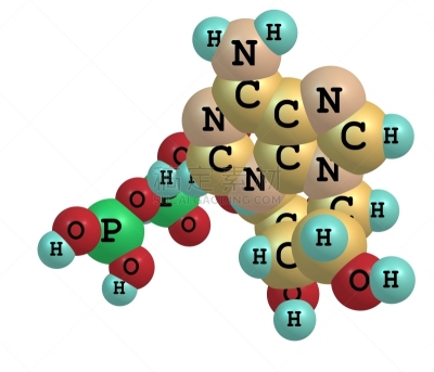 三磷酸腺苷,分子,白色,分离着色,辅酶Q10,新陈代谢,核糖核酸,可乐,酸,水平画幅