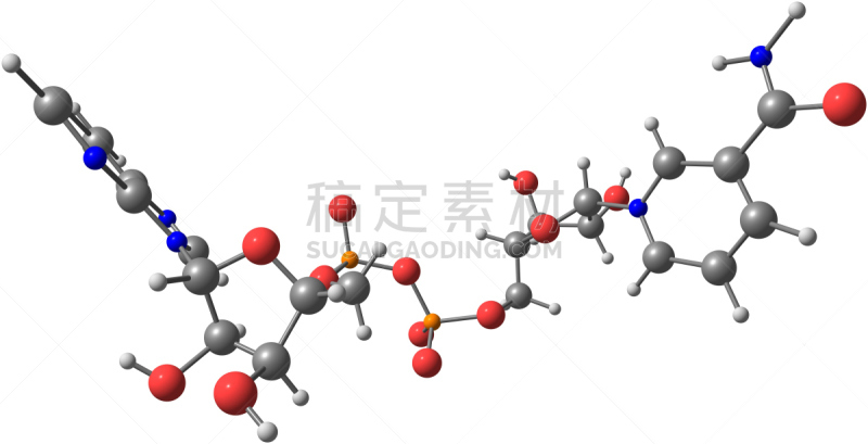 白色,分子结构,腺嘌呤,分离着色,水平画幅,无人,绘画插图,科学实验,辅酶q10,科学