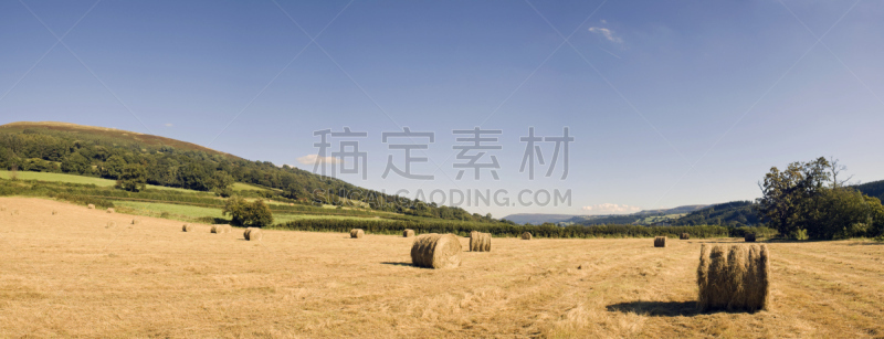 稻草,中部威尔士,布雷肯国家公园,小丘,拼块地形,麦茬,天空,干草,国家公园,水平画幅