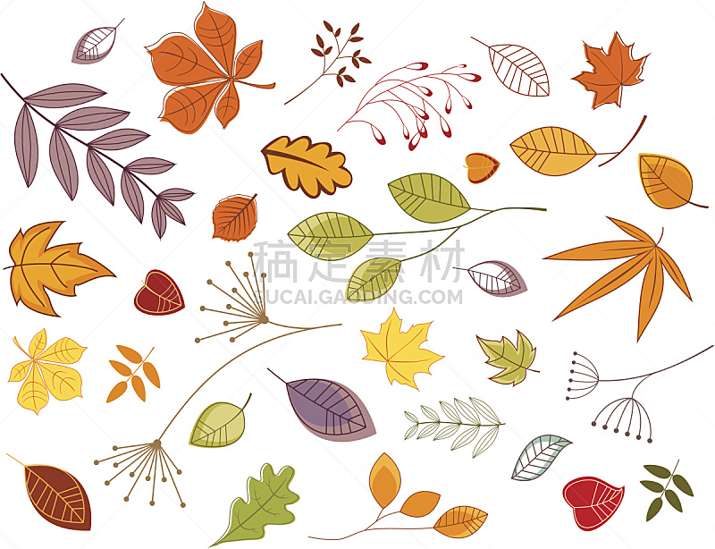 秋天,叶子,植物群,红色,橙色,无人,黄色,枫树,季节,矢量