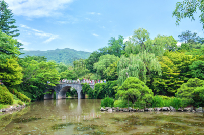 石材,桥,旅游目的地,水平画幅,无人,户外,庆州市,韩国,池塘
