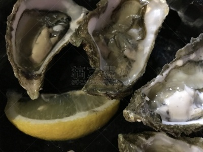 柠檬,生食,开胃品,牡蛎,特写,法国,南,上菜,饮料,传统