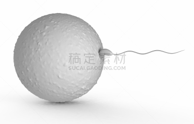 精子,人,细胞结构,水平画幅,形状,微生物学,无人,绘画插图,计算机制图,计算机图形学