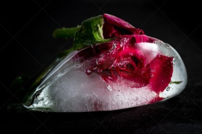 永远,玫瑰,冻结的,水,艺术,水平画幅,块状,情人节,毛毡制品,时间