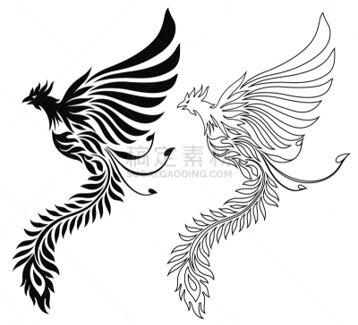凤凰,绘画插图,活力,秘密,美,野外动物,徽章,生物,动物,鸟类