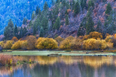 秋天,克拉马斯湖,自然,水,俄勒冈州,俄勒冈郡,水平画幅,地形,山,克拉玛瀑布