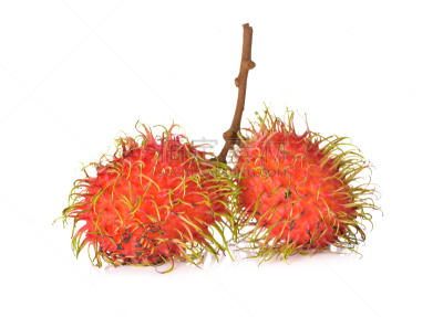 红毛丹,清新,白色背景,茎,水平画幅,纹理效果,无人,维生素,特写,泰国
