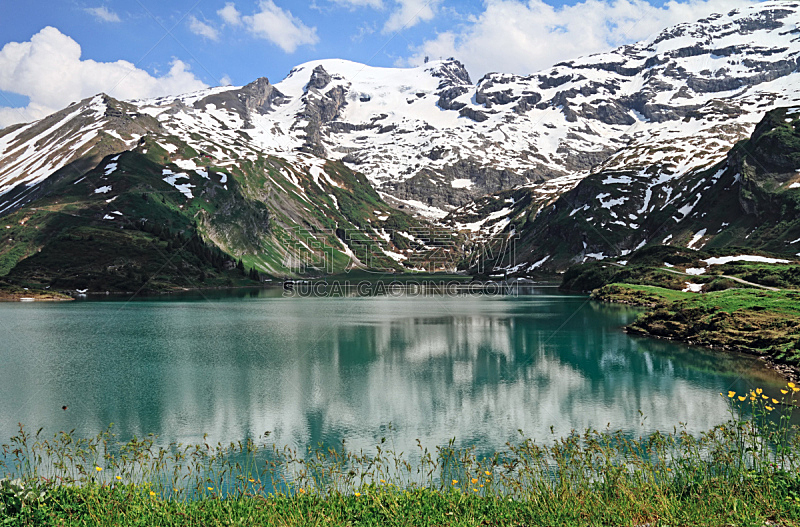 湖,水,水平画幅,雪,无人,夏天,户外,草,瑞士阿尔卑斯山,静水