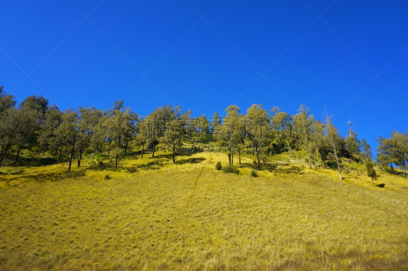 自然,蓝色,山,天空,风景,塞梅鲁火山,婆罗摩火山,滕格尔火山,bromo-tengger-semeru national park,东爪哇