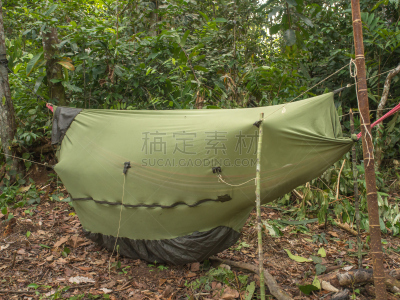 热带雨林,南美,胸骨,吊床,旅行者,田径跑道,泳道,悬挂的,蚊子,灌木