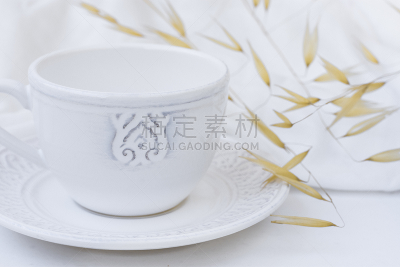 茶碟,棉,博客,植物群,图像,燕麦,白色,高雅,设计