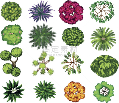 植物群,反差,蕨类,自然,红色,清新,一个物体,图像,生活方式,枝