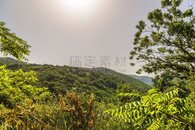 地形,夏天,杜塞尔多夫,巴西利卡塔大区,农业,波坦察省,巴西利卡塔,草,河流,母牛