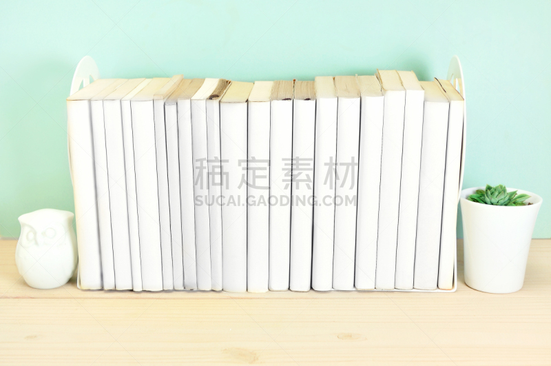 书,白色,成一排,彩色背景,陶瓷工艺品,简单,图像,组物体,猫头鹰,肉质植物