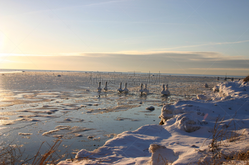 海滩,水,美,公园,水平画幅,沙子,雪,时间,草,海上航道