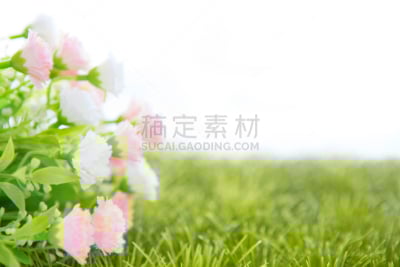 玫瑰,草,小的,分离着色,人造的,艺术,水平画幅,无人,特写,仅一朵花
