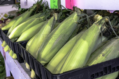 甜玉米,商品,产品展台,穗,外壳,农产品市场,水平画幅,食品杂货,户外,转基因