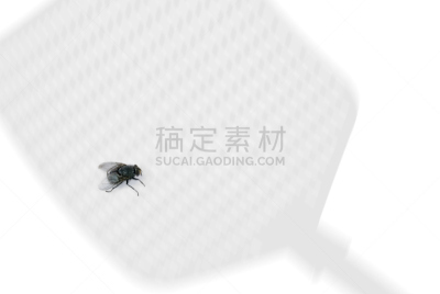 苍蝇拍,蚊子,扩音器,家蝇,水平画幅,家庭生活,动物身体部位,干净,特写