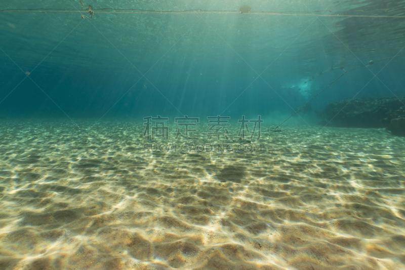 水,鸡尾酒,红海,在下面,水平画幅,沙子,无人,水下,植物,礁石