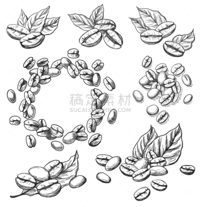 咖啡,谷类,叶子,巴黎咖啡馆,烤咖啡豆,钢笔和麦克笔画,阿拉比卡咖啡,玛琪雅朵咖啡,咖啡馆,茶几