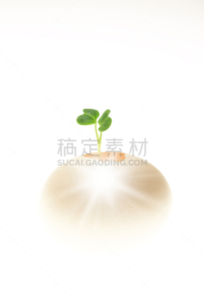 蛋,双叶区,自然,垂直画幅,绿色,鸡蛋,无人,植物,新生活,破碎的