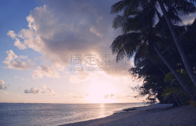 岛,鸡尾酒,拉罗汤加岛,扇形棕榈,库克群岛,南太平洋,水,天空,沙子,夏天