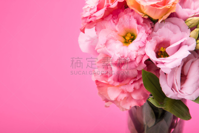 特写,花束,分离着色,粉色,深情的,lisianthus,花瓶,自然美,风景,花